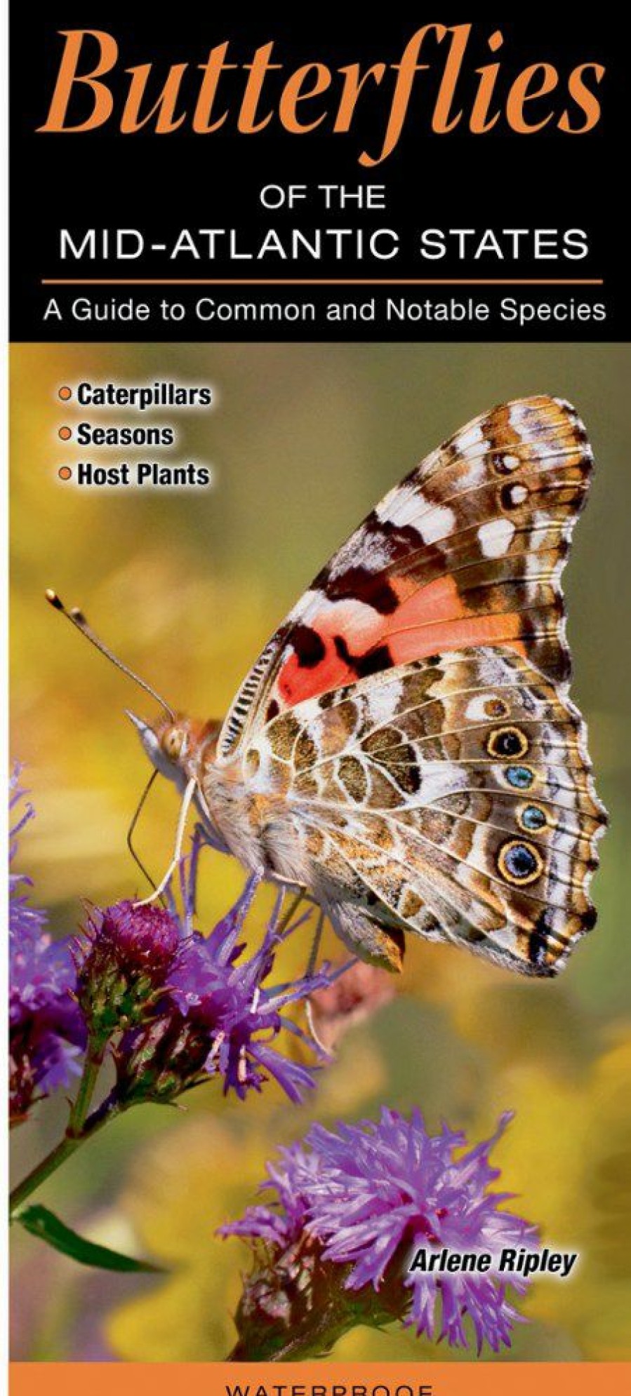 Books And Maps * | Quick Reference Publishing Butterflies Of The Mid-Atlantic