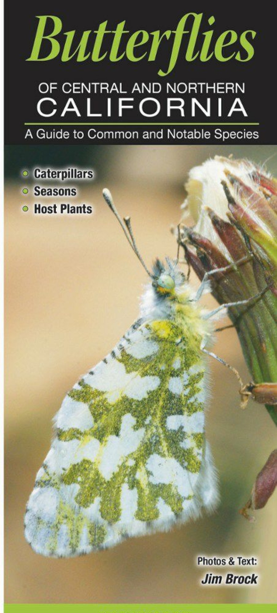 Books And Maps * | Quick Reference Publishing Butterflies Of Central And Northern California