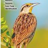 Books And Maps * | Quick Reference Publishing Birds Of Kansas