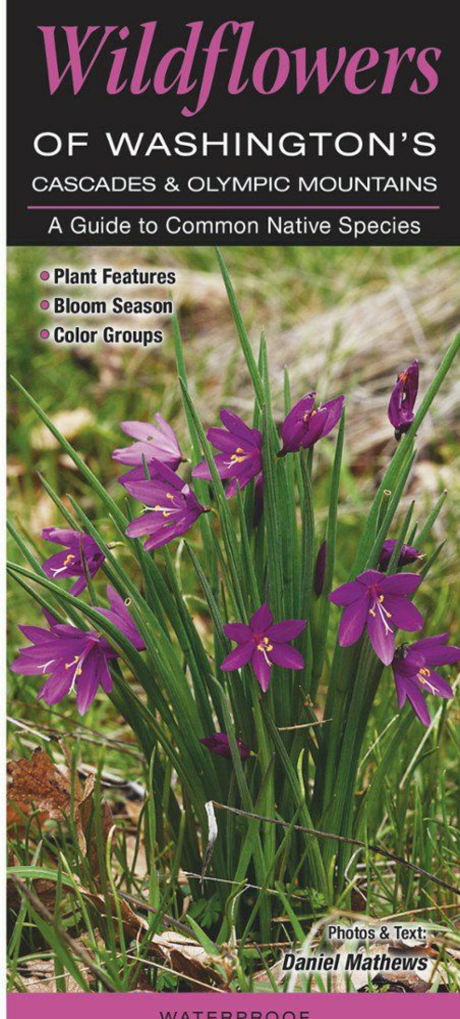 Books And Maps * | Quick Reference Publishing Wildflowers Of Washington'S Cascades And Olympic Mountains