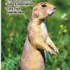 Books And Maps * | Quick Reference Publishing Mammals Of The Great Plains