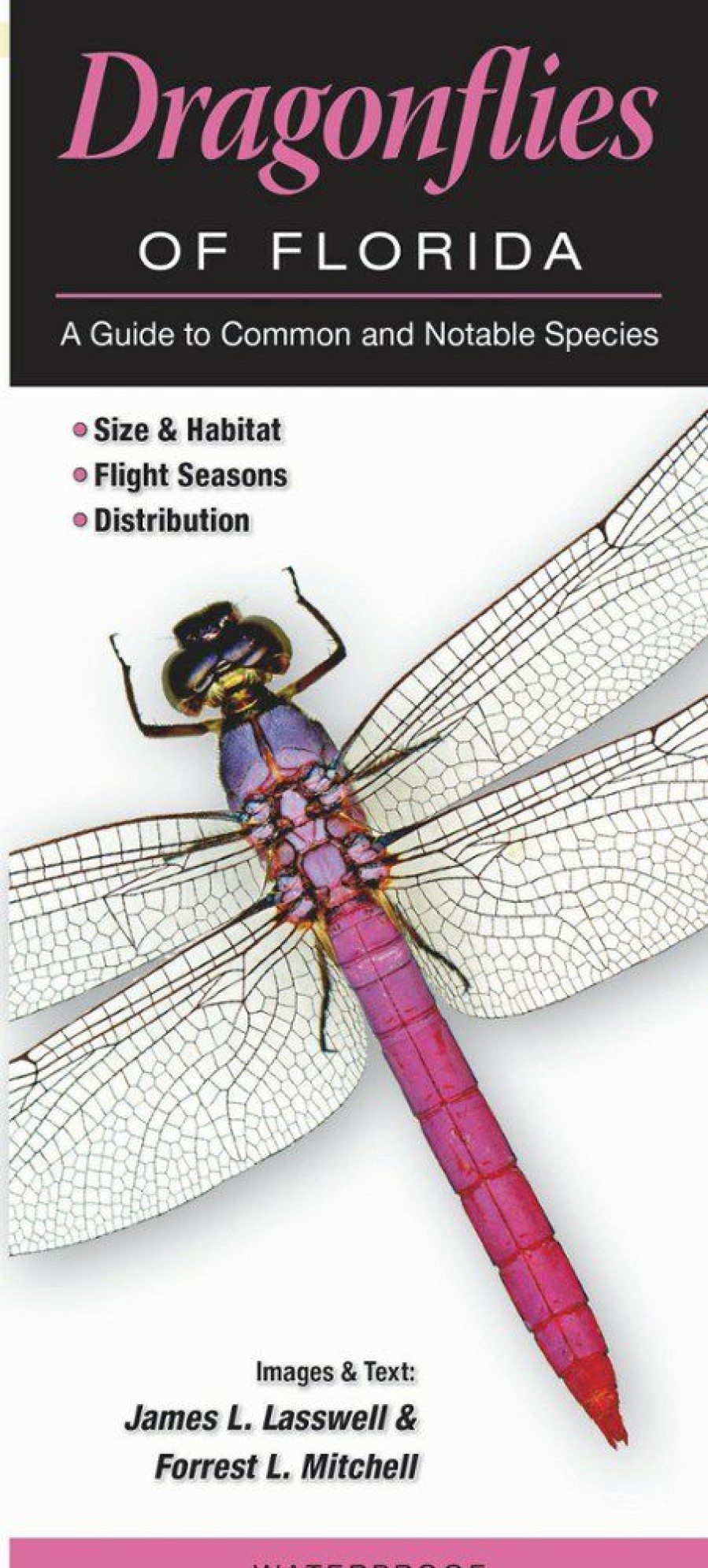 Books And Maps * | Quick Reference Publishing Dragonflies Of Florida