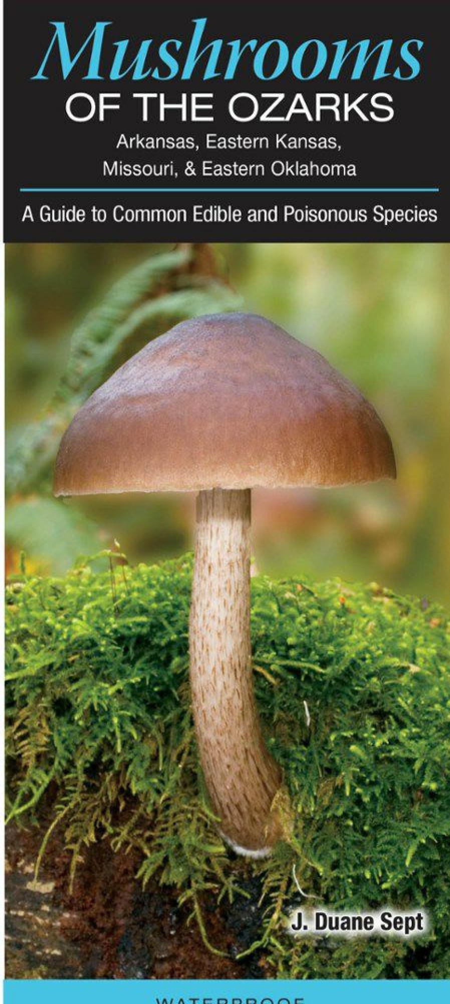 Books And Maps * | Quick Reference Publishing Mushrooms Of The Ozarks