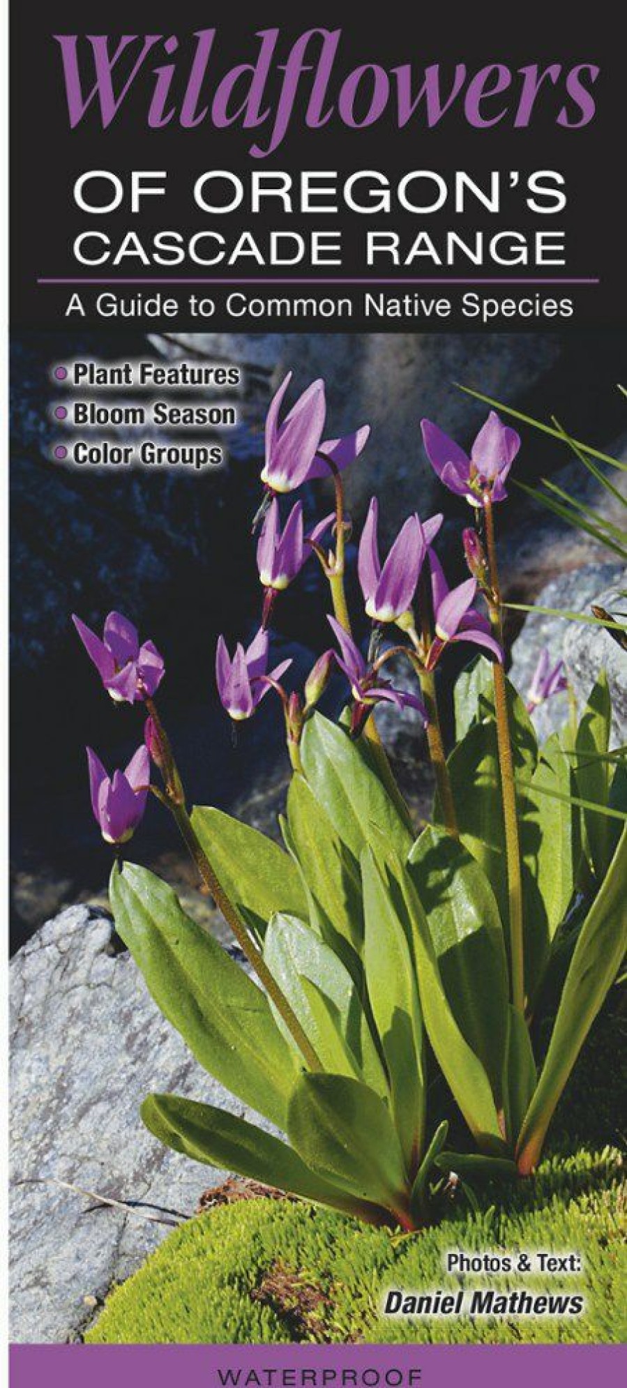 Books And Maps * | Quick Reference Publishing Wildflowers Of Oregon'S Cascade Range