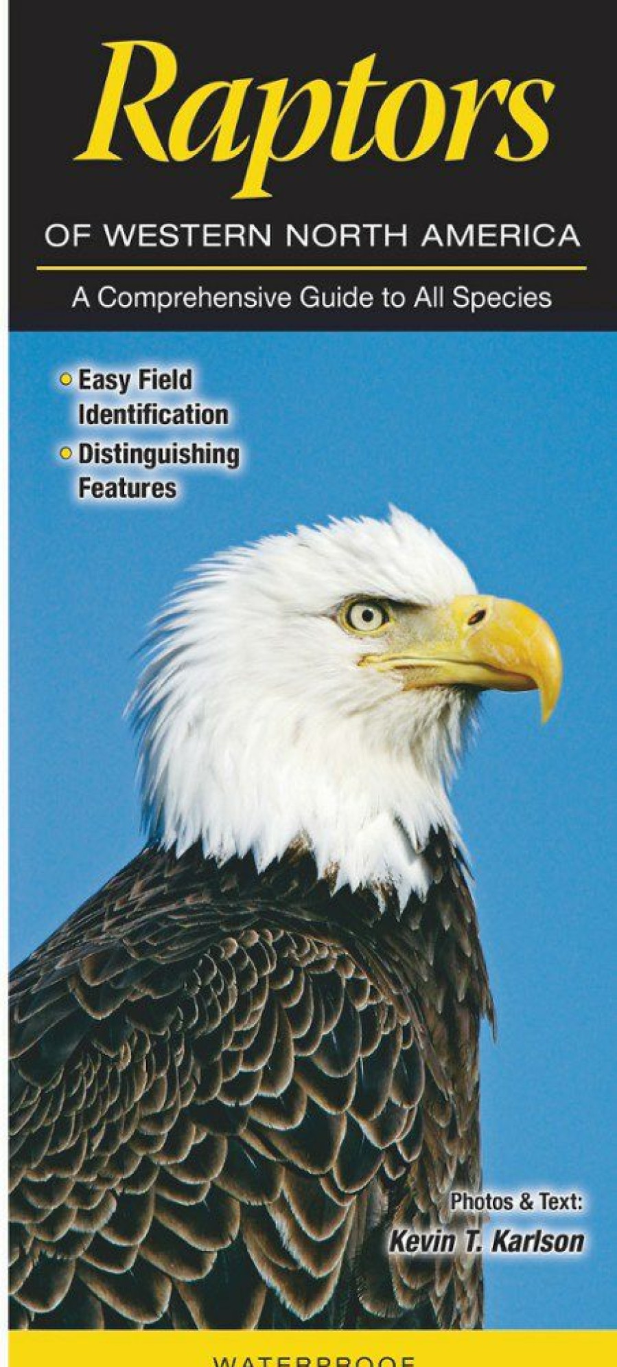 Books And Maps * | Quick Reference Publishing Raptors Of Western North America