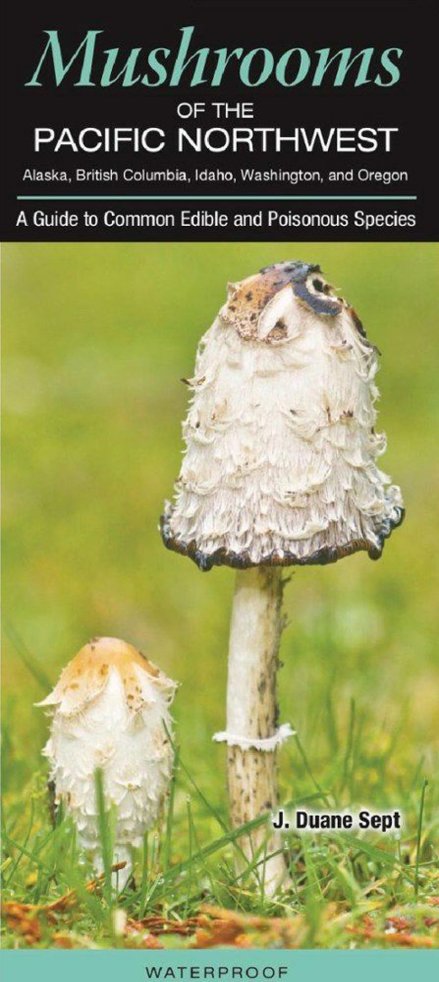 Books And Maps * | Quick Reference Publishing Mushrooms Of The Pacific Northwest