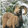 Books And Maps * | Quick Reference Publishing Mammals Of The Rocky Mountains