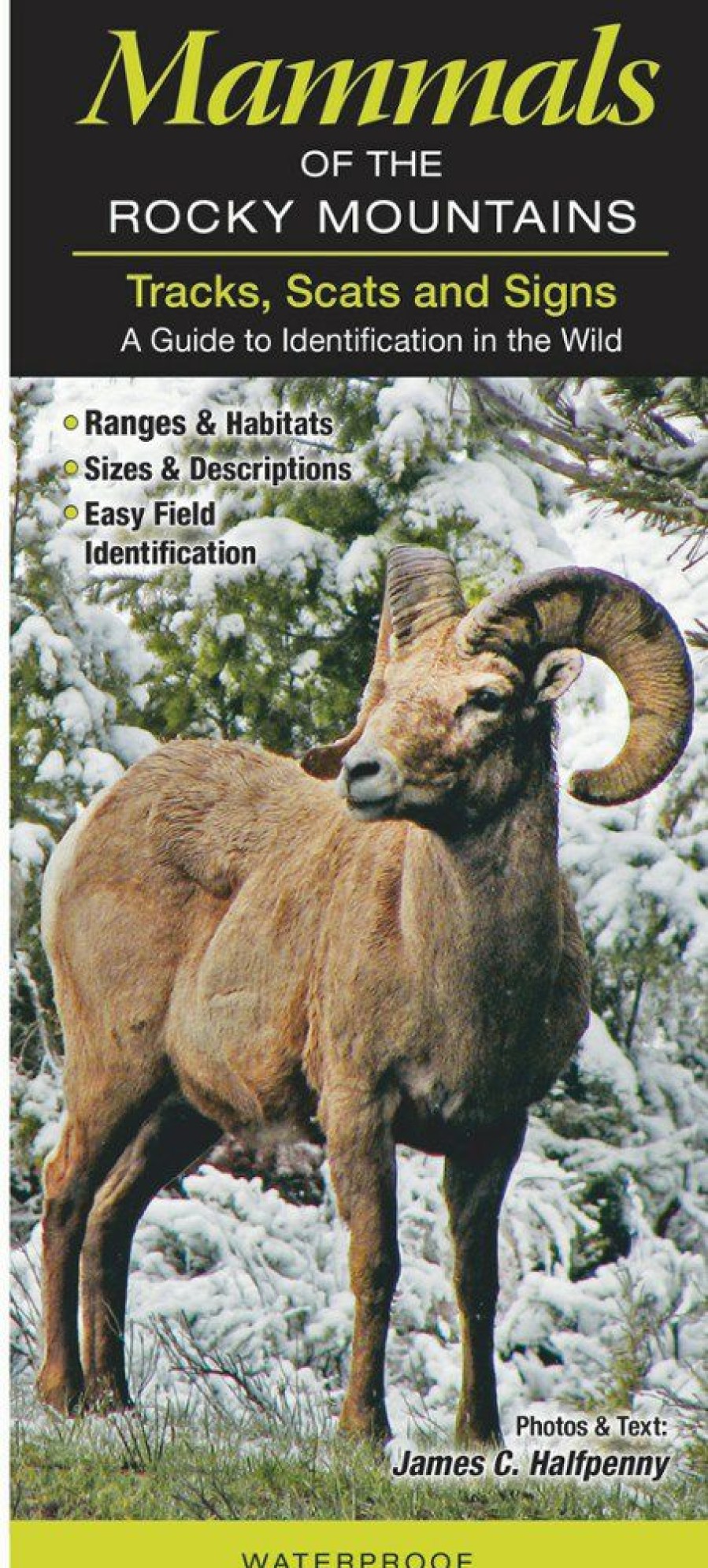 Books And Maps * | Quick Reference Publishing Mammals Of The Rocky Mountains