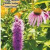 Books And Maps * | Quick Reference Publishing Wildflowers Of New York