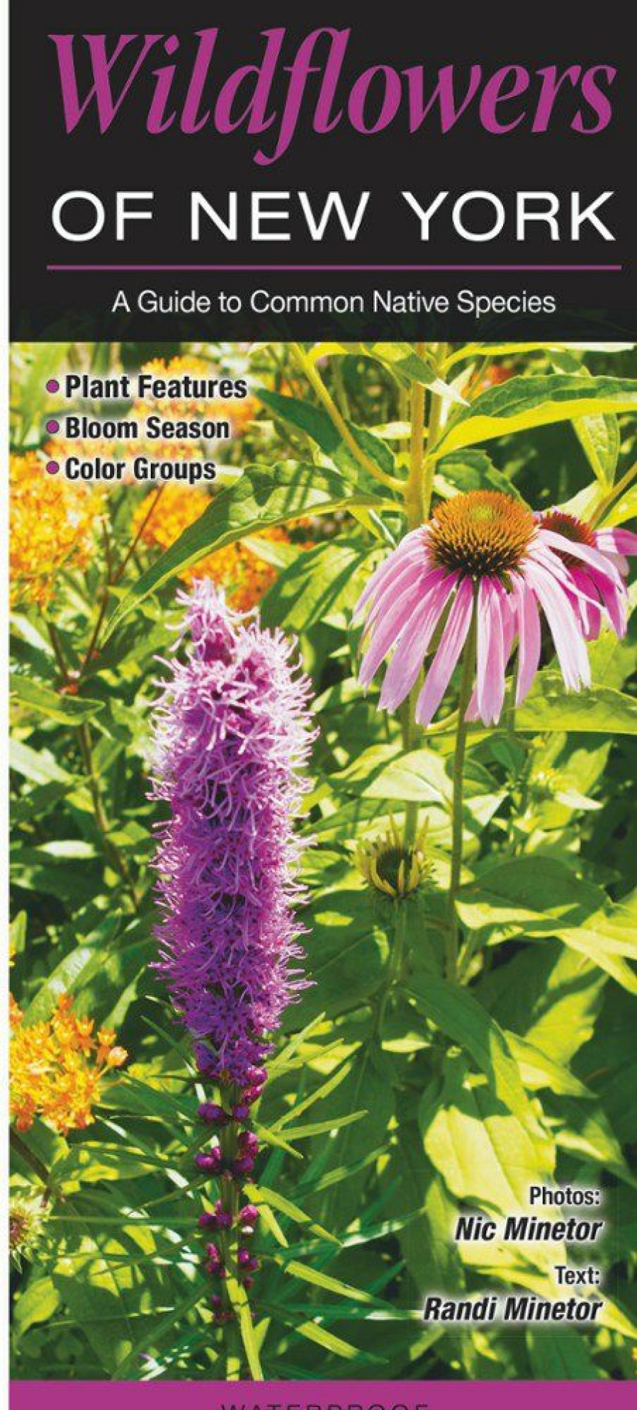 Books And Maps * | Quick Reference Publishing Wildflowers Of New York