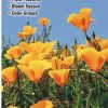 Books And Maps * | Quick Reference Publishing Wildflowers Of Southern California