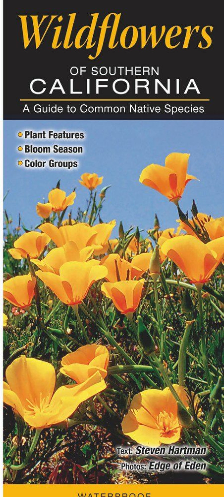 Books And Maps * | Quick Reference Publishing Wildflowers Of Southern California