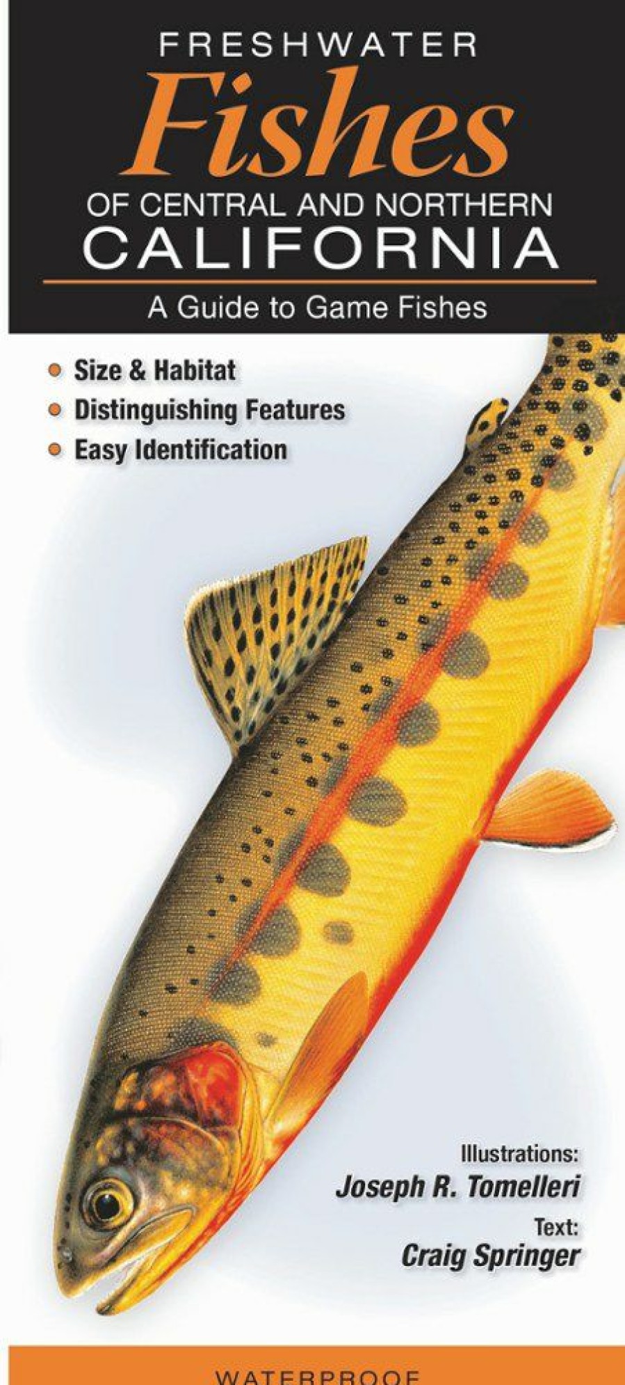 Books And Maps * | Quick Reference Publishing Fresh Water Fishes Of Central And Northern California