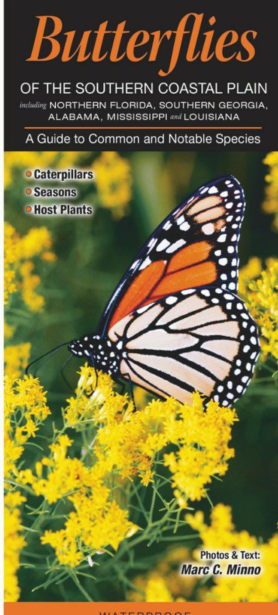 Books And Maps * | Quick Reference Publishing Butterflies Of The Southern Coastal Plain