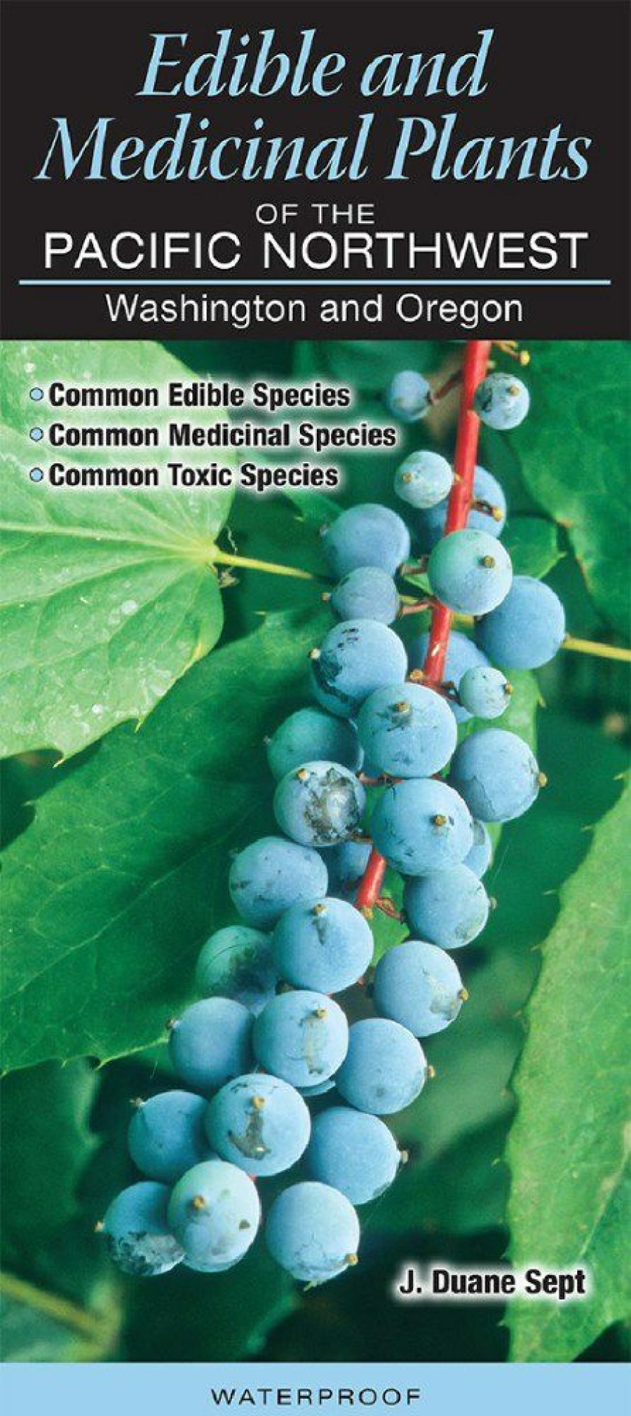 Books And Maps * | Quick Reference Publishing Edible And Medicinal Plants Of The Pacific Northwest