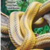 Books And Maps * | Quick Reference Publishing Snakes Of North Florida