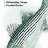 Books And Maps * | Quick Reference Publishing Freshwater Fishes Of Ohio