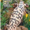 Books And Maps * | Quick Reference Publishing Reptiles And Amphibians Of The Mojave Desert