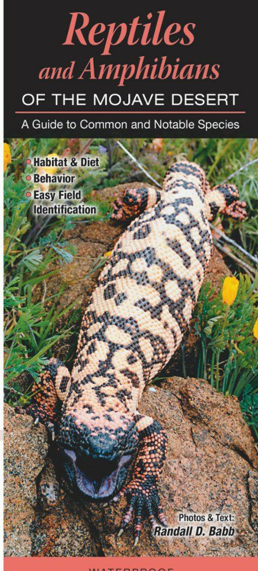 Books And Maps * | Quick Reference Publishing Reptiles And Amphibians Of The Mojave Desert