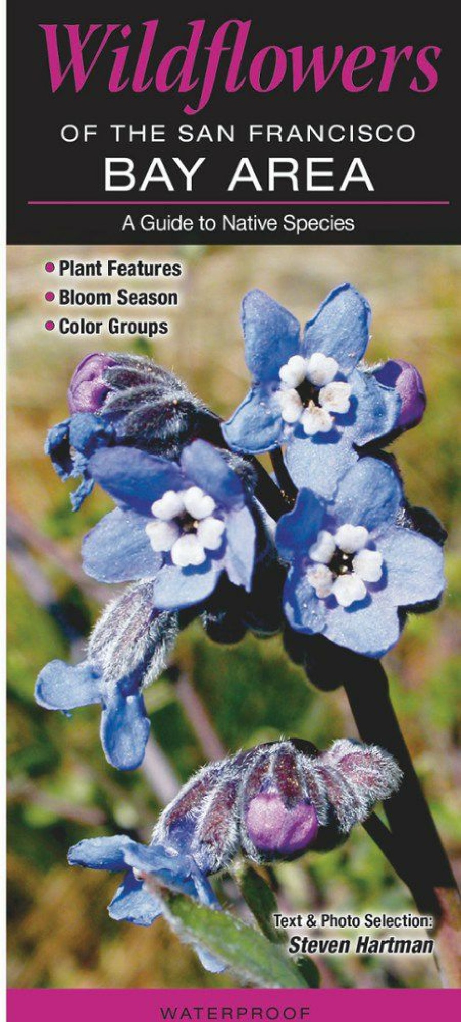 Books And Maps * | Quick Reference Publishing Wildflowers Of The San Francisco Bay Area