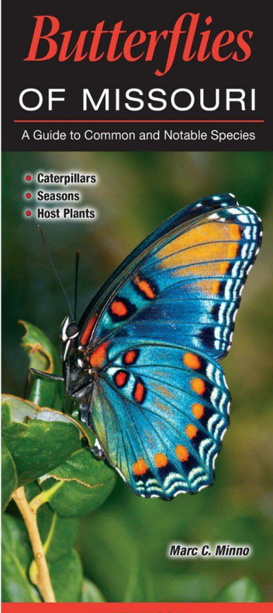 Books And Maps * | Quick Reference Publishing Butterflies Of Missouri