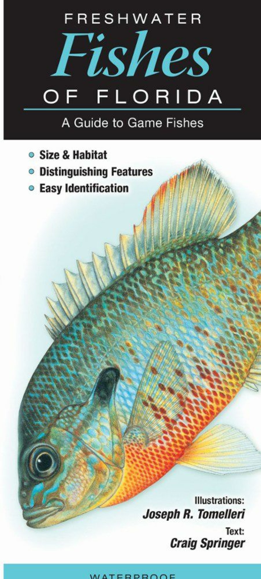 Books And Maps * | Quick Reference Publishing Freshwater Fishes Of Florida