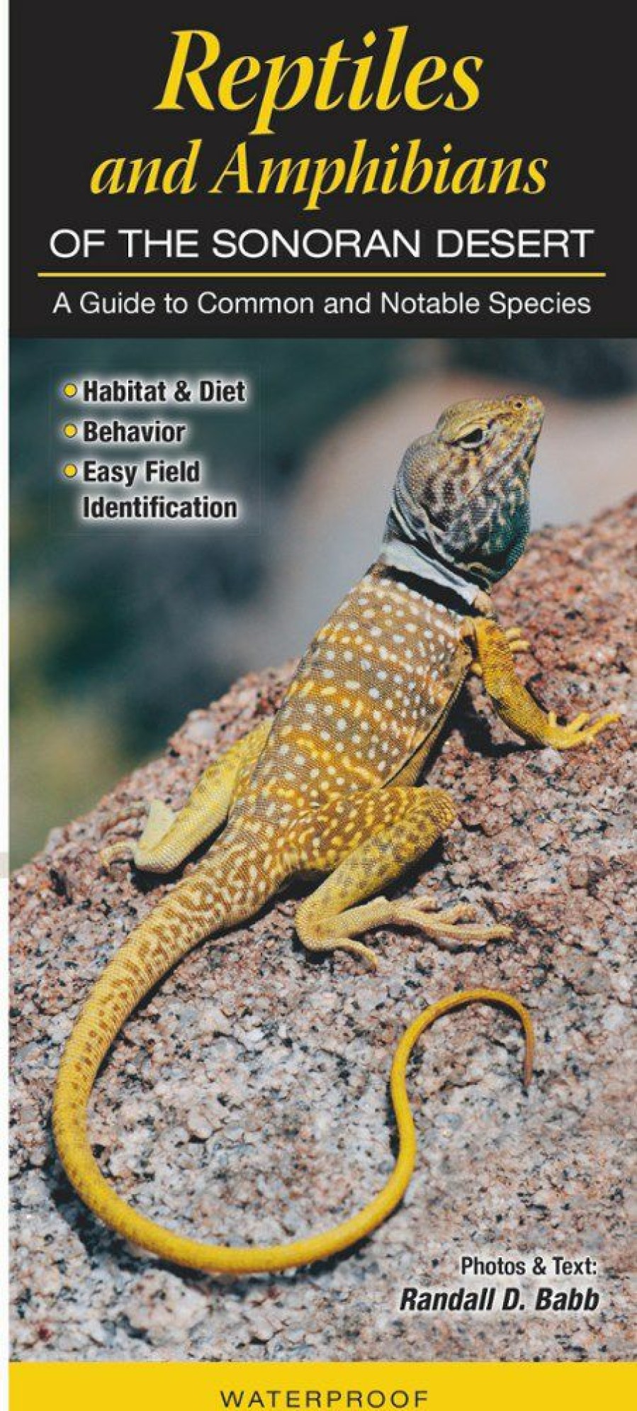 Books And Maps * | Quick Reference Publishing Reptiles And Amphibians Of The Sonoran Desert